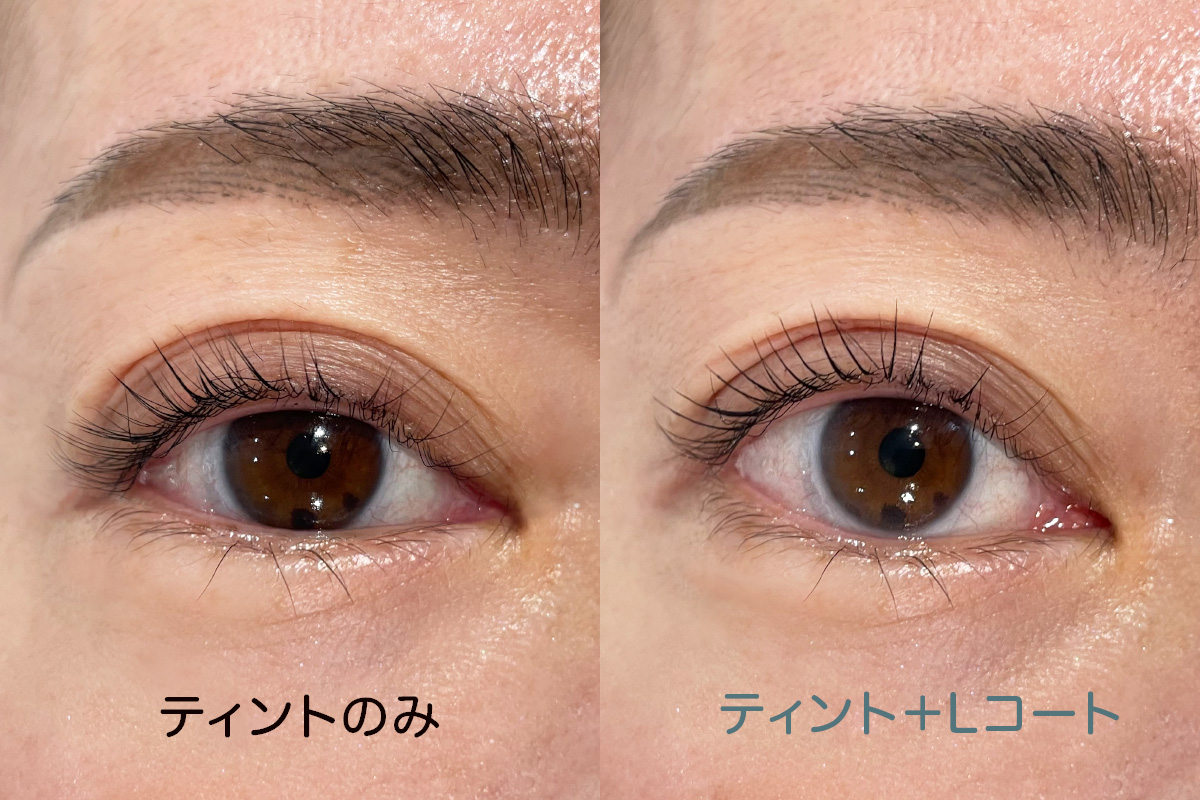 ティントのみとティント＋Lコートの違い